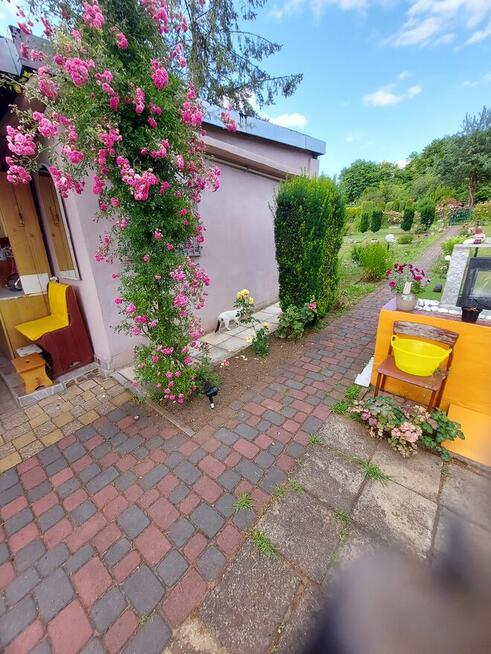 Działka Rekreacyjna ROD im, J. Wieczorka