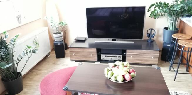 mieszkanie do wynajecia