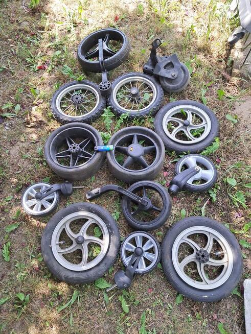 Profesjonalne kije do golfa z GRAFITU ,.wózki - wszystkiego