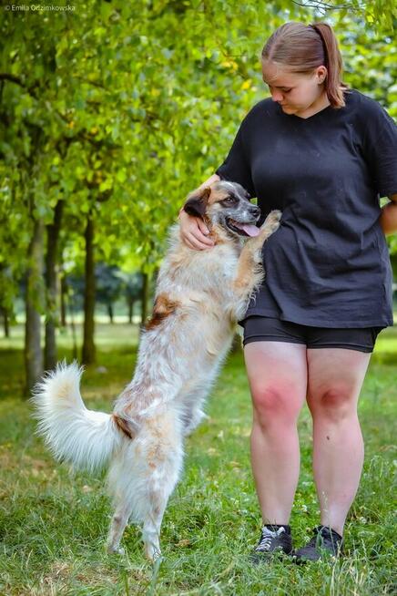 Białasek-cudowny, młodziutki i nadal bez domu, pokochaj-adoptu