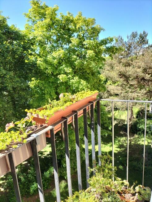 Zamienie mieszkanie wlasnosciowe z Gdanska na Warszawe .