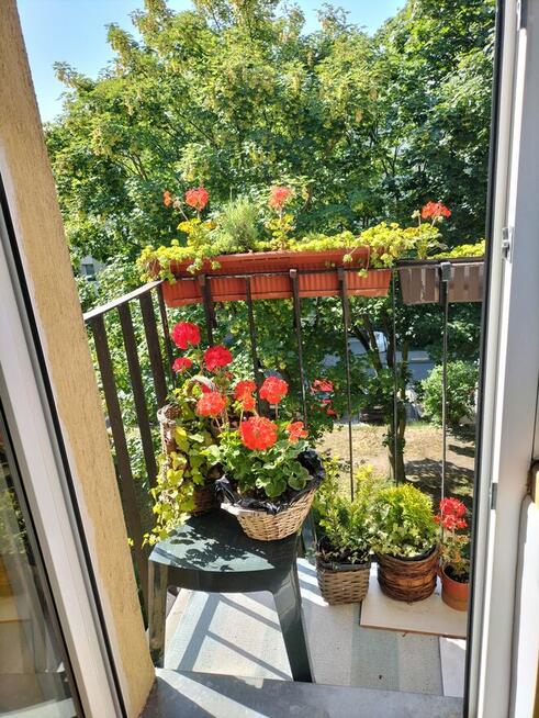 Zamienie mieszkanie wlasnosciowe z Gdanska na Warszawe .