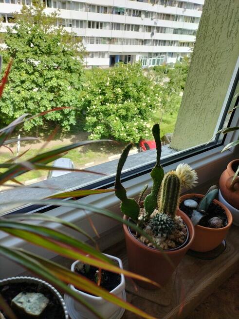 Zamienie mieszkanie wlasnosciowe z Gdanska na Warszawe .