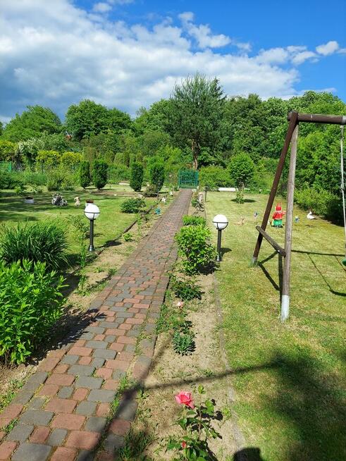 Działka Rekreacyjna ROD im, J. Wieczorka