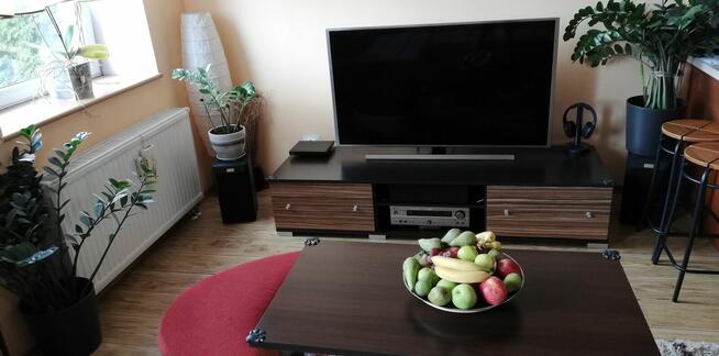 mieszkanie do wynajecia