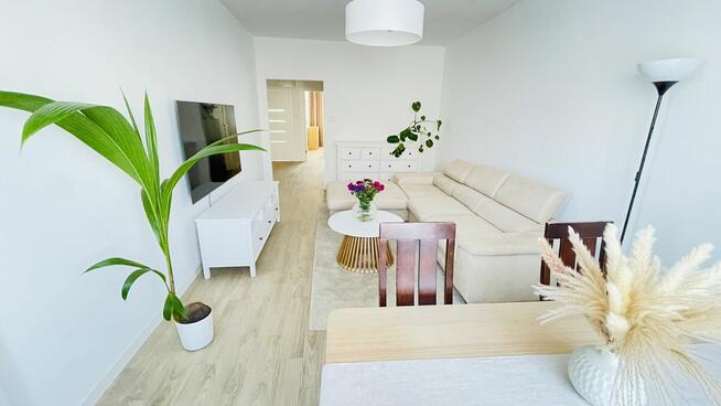 Zamienie duże własnościowe na 2 małe własnościowe