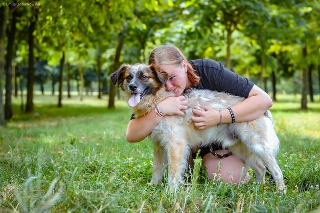 Białasek-cudowny, młodziutki i nadal bez domu, pokochaj-adoptu