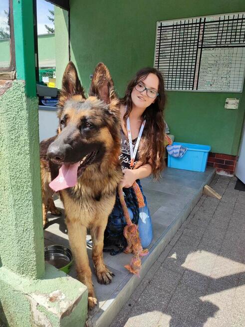 Profesjonalny Grooming z Dojazdem do Klienta - Legnica i Oko