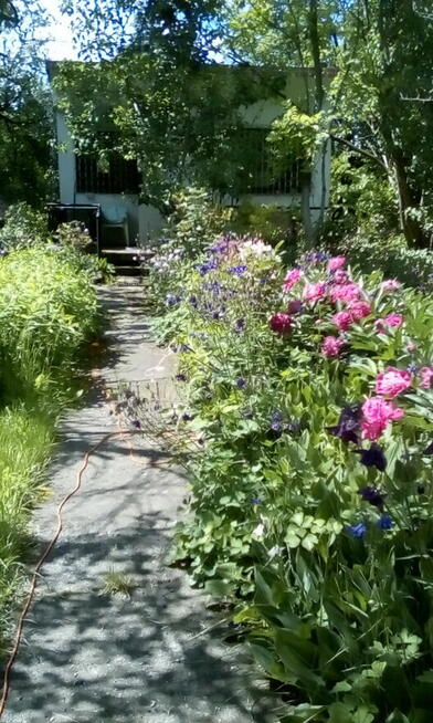 Dom za 130000zł, ogród ROD 869 m2 za 0zł, Katowice Muchowiec