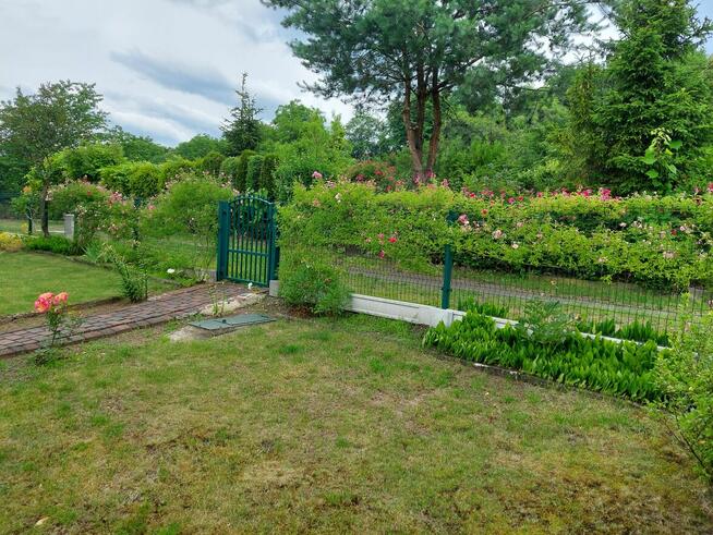 Działka Rekreacyjna ROD im, J. Wieczorka