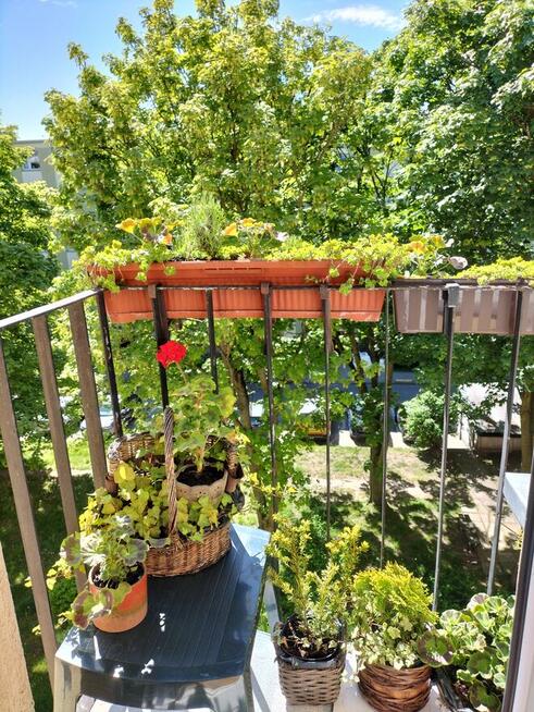 Zamienie mieszkanie wlasnosciowe z Gdanska na Warszawe .