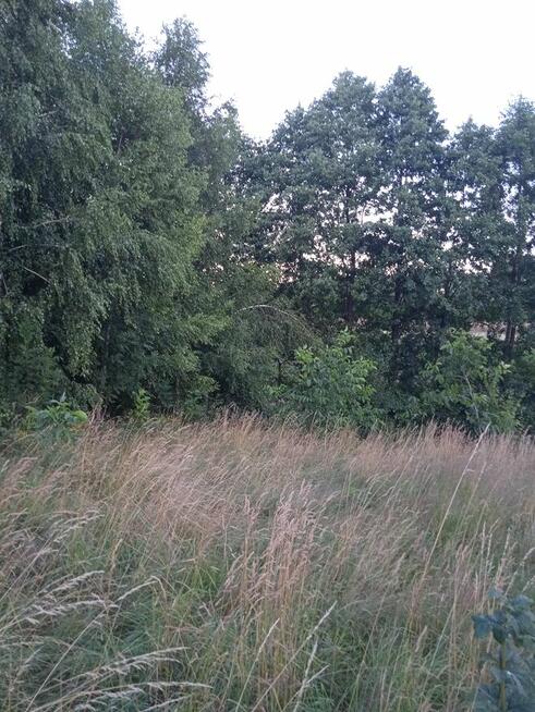 Husów 11ar miedzy domami 55000