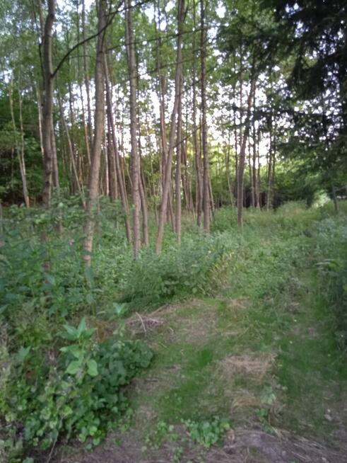 BŁĘDOWA TYCZYŃSKA DZIAŁKA BUDOWLANA 10,50 AR