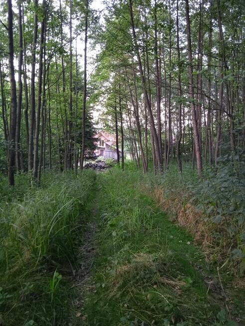 BŁĘDOWA TYCZYŃSKA DZIAŁKA BUDOWLANA 10,50 AR