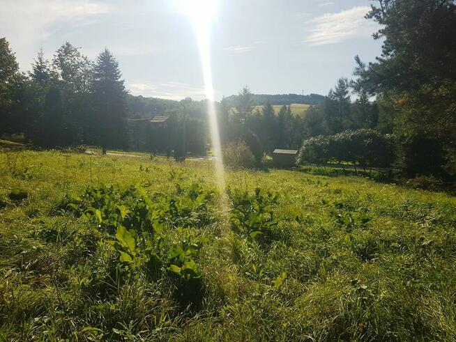 OKAZJA! Piękna 15-arowa działka w Bieszczadach