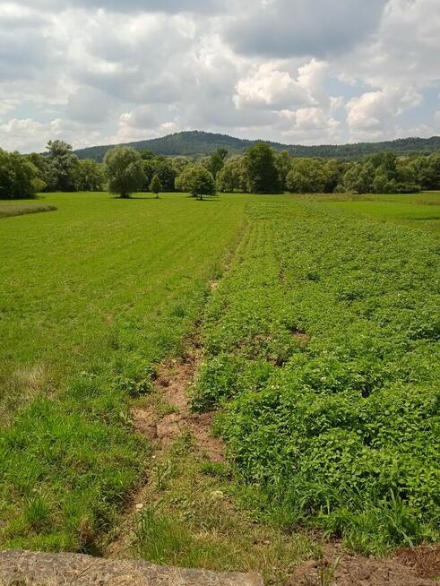 ŻYZNÓW dojazd z asfaltowej drogi naokoło domy- 4600 1ar !!!