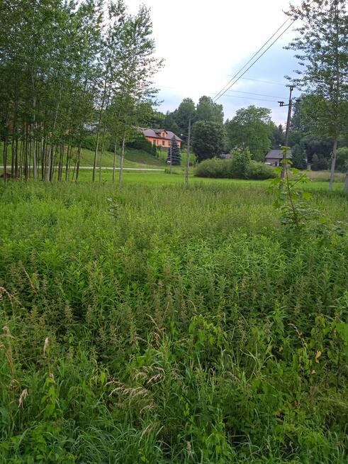 LASKÓWKA k Dynowa 8ar przy asfalcie 23200