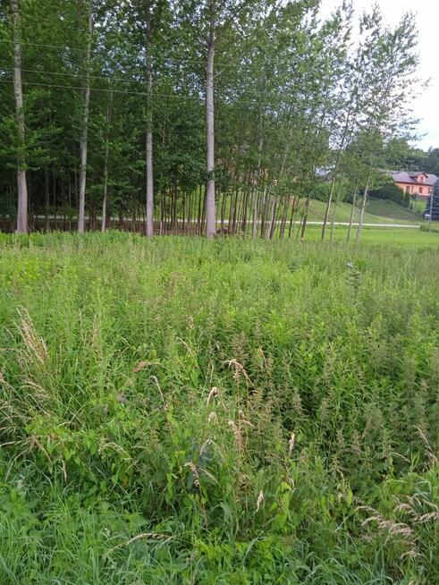 LASKÓWKA k Dynowa 8ar przy asfalcie 23200