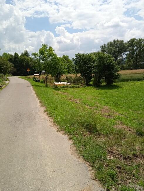 ŻYZNÓW dojazd z asfaltowej drogi naokoło domy- 4600 1ar !!!