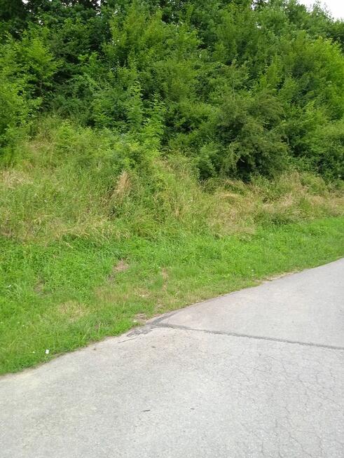 Żyznów powiat strzyżowski 9ar 4 klasa 43000