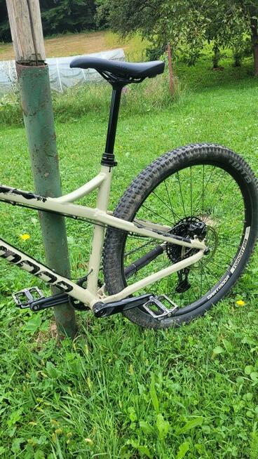 Rower hardtail enduro Dartmoor Primal Pro 29 2020