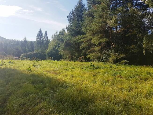 OKAZJA! Piękna 15-arowa działka w Bieszczadach