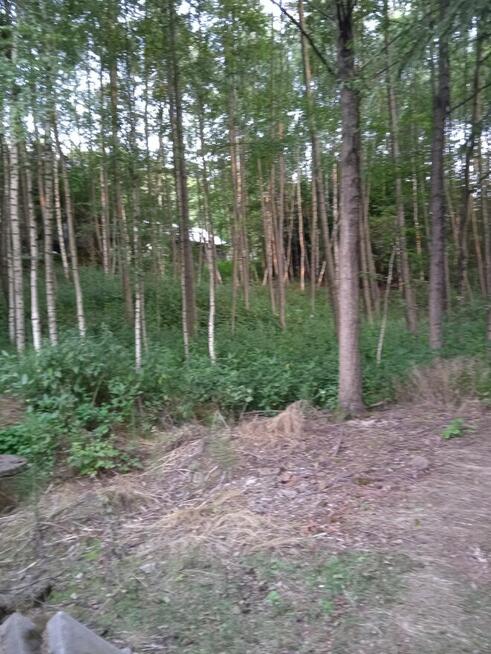 BŁĘDOWA TYCZYŃSKA DZIAŁKA BUDOWLANA 10,50 AR