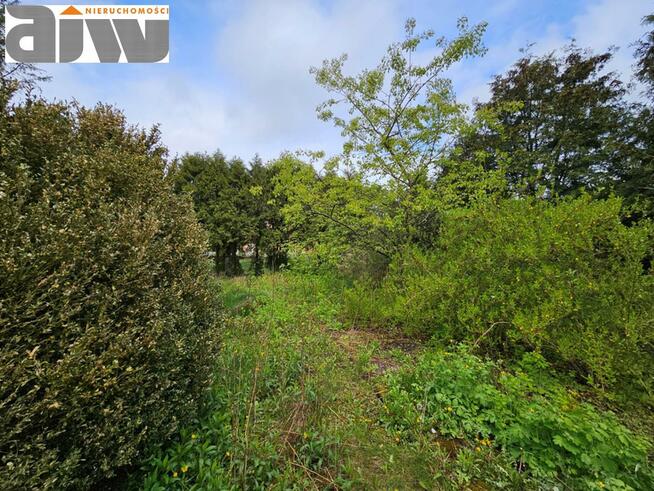 Dom Laski gm. Izabelin, gmina Izabelin