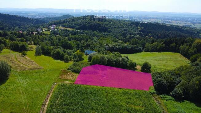 Działka rolna z potencjałem - Korczyna, Podzamcze.