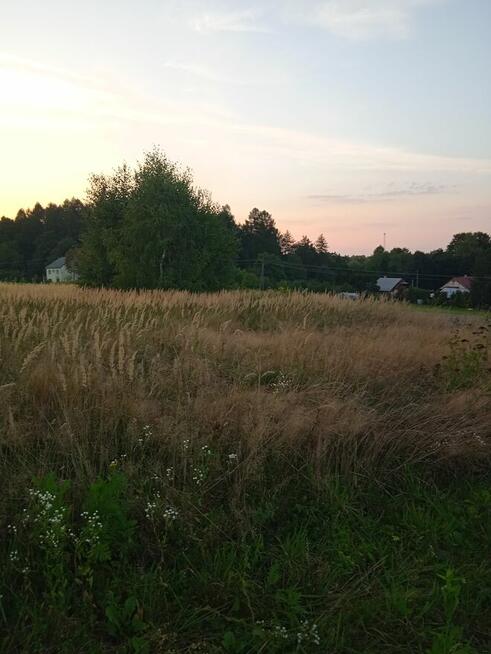 Laskówka budowlana piękne widoki na wzgórzu gmina Dynów