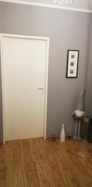 mieszkanie do wynajecia