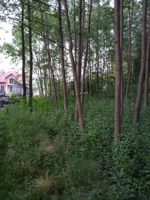 BŁĘDOWA TYCZYŃSKA DZIAŁKA BUDOWLANA 10,50 AR