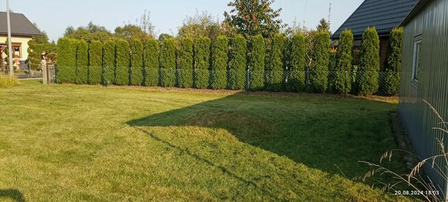 Działka ROD im E. Gierczak Kołobrzeg - spokój i cisza