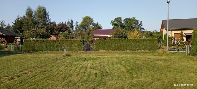 Działka ROD im E. Gierczak Kołobrzeg - spokój i cisza