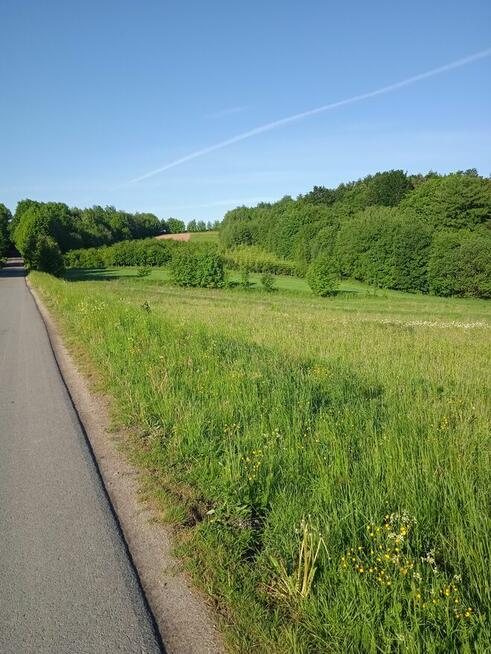 Okazja ! Działka Futoma przy asfalcie 31,23ar tylko 2499 1ar