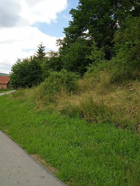 Żyznów powiat strzyżowski 9ar 4 klasa 43000