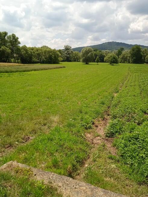 ŻYZNÓW dojazd z asfaltowej drogi naokoło domy- 4600 1ar !!!