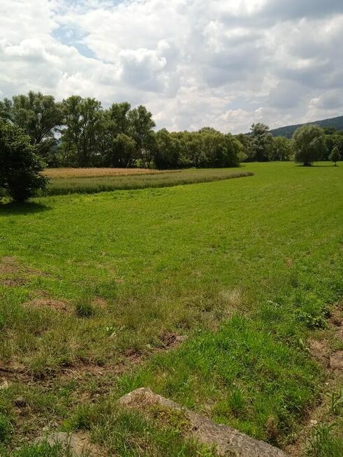 ŻYZNÓW dojazd z asfaltowej drogi naokoło domy- 4600 1ar !!!