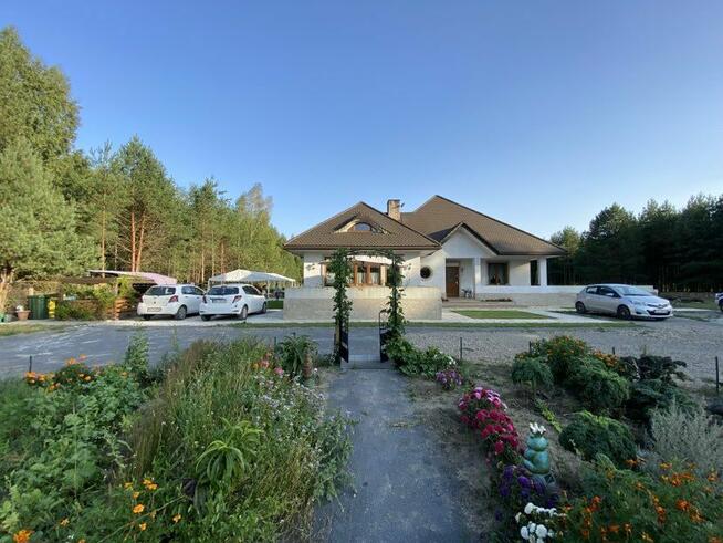 Leśna agroturystyka