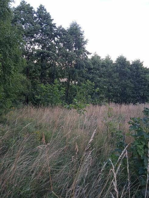 Husów 11ar miedzy domami 55000