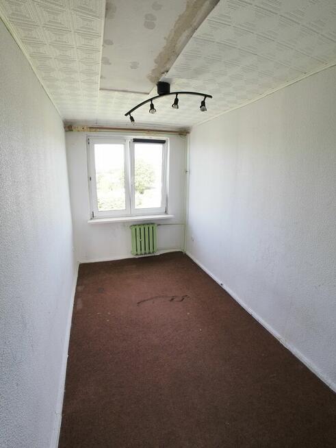 3 pokoje, mieszkanie na sprzedaż, Radowo Małe
