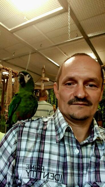 Stabilny, wolny 48latek