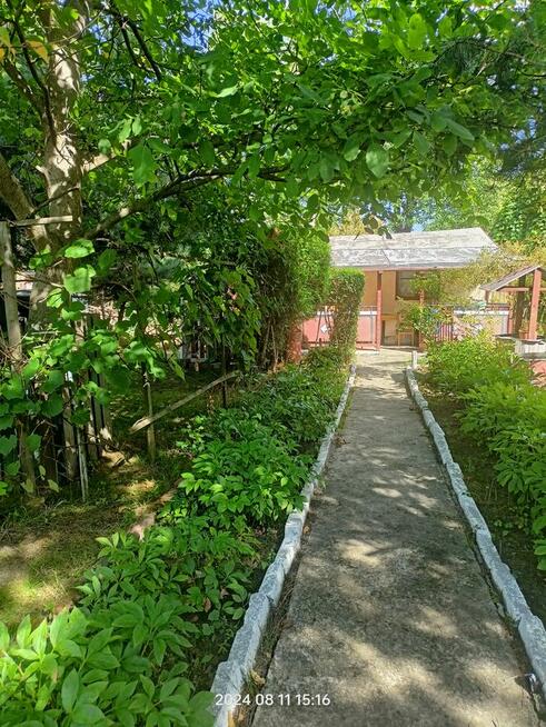 Sprzedam działkę Rod MORWA