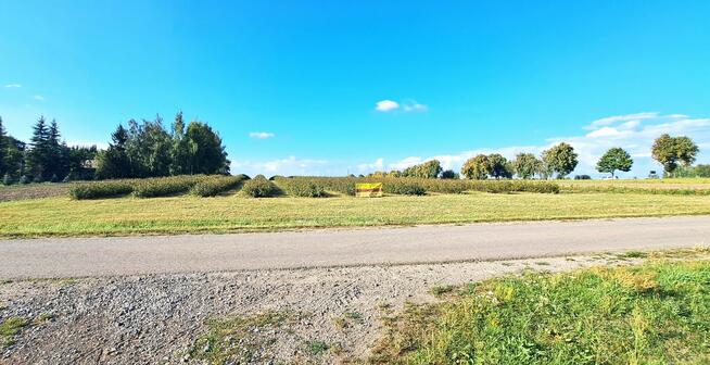 Działka budowlana, Tarło Kolonia