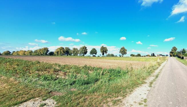 Działka budowlana, Tarło Kolonia