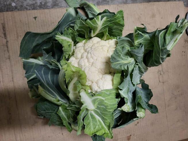 Przyjmuję zamówienia na świeże warzywa i owoce-dowóz gratis