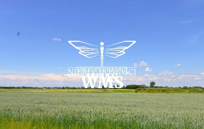 Działka inwestycyjna Łąka