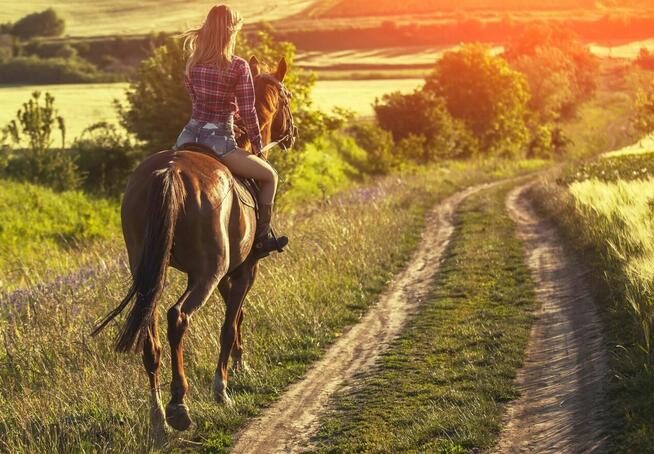 Przepiękna dz.budowlana k. Janowca/Kaziemierza Dolnego