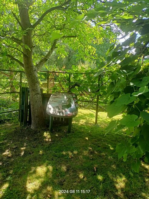 Sprzedam działkę Rod MORWA