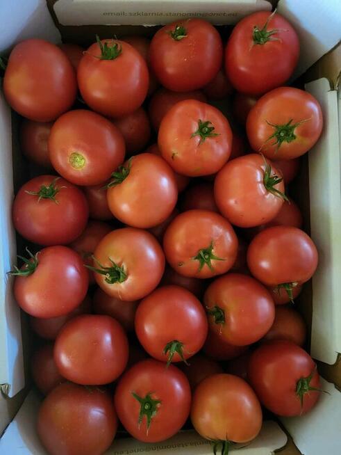 Przyjmuję zamówienia na świeże warzywa i owoce-dowóz gratis